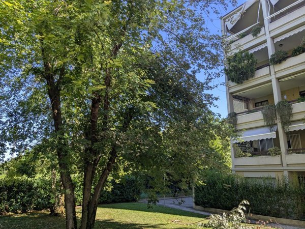 appartamento in vendita a Reggio nell'Emilia in zona Città Storica
