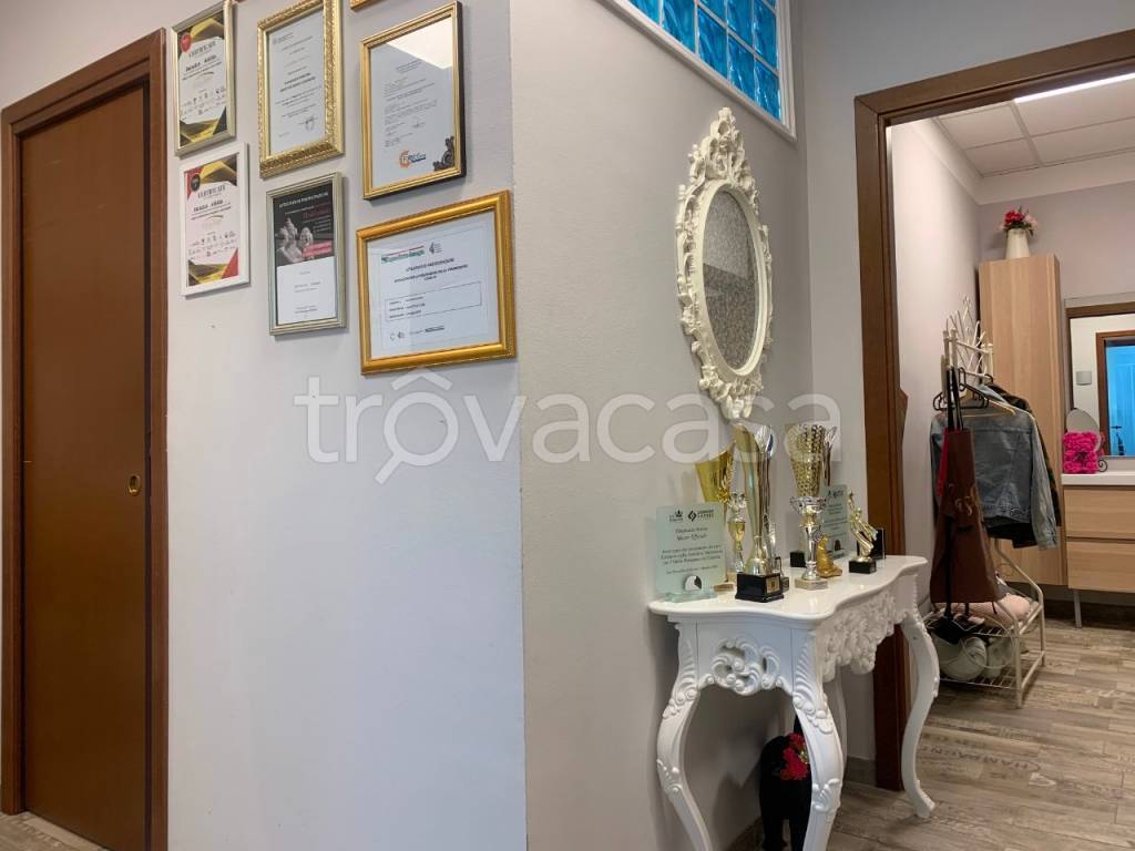 negozio in vendita a Reggio nell'Emilia in zona Cadè / Gaida