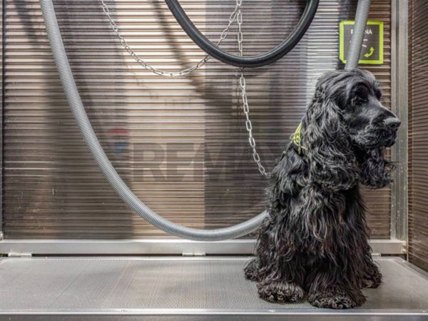 negozio in vendita a Reggio nell'Emilia