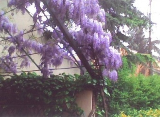 casa indipendente in vendita a Reggio nell'Emilia in zona Città Storica