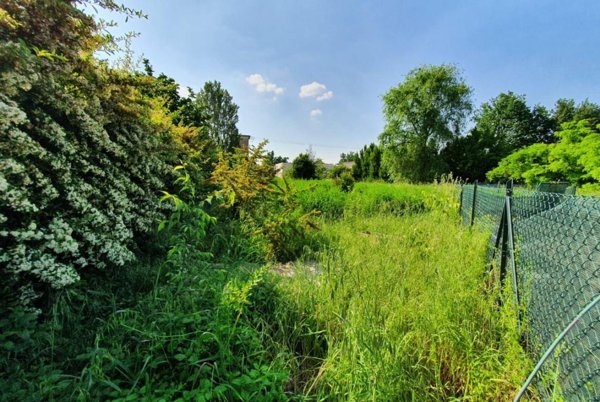 terreno agricolo in vendita a Reggio nell'Emilia in zona Fogliano