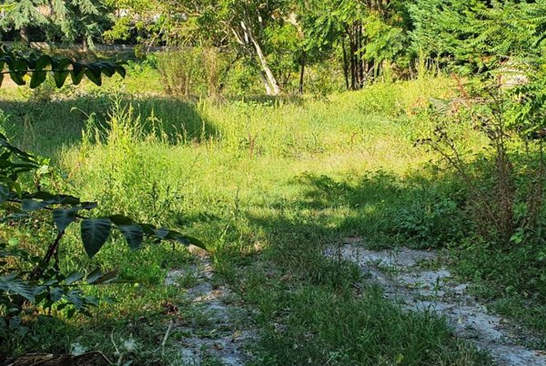 casa indipendente in vendita a Reggio nell'Emilia in zona Città Storica