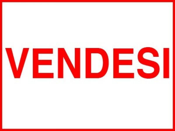 casa indipendente in vendita a Reggio nell'Emilia in zona Codemondo