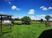 appartamento in vendita a Reggio nell'Emilia in zona Buco del Signore