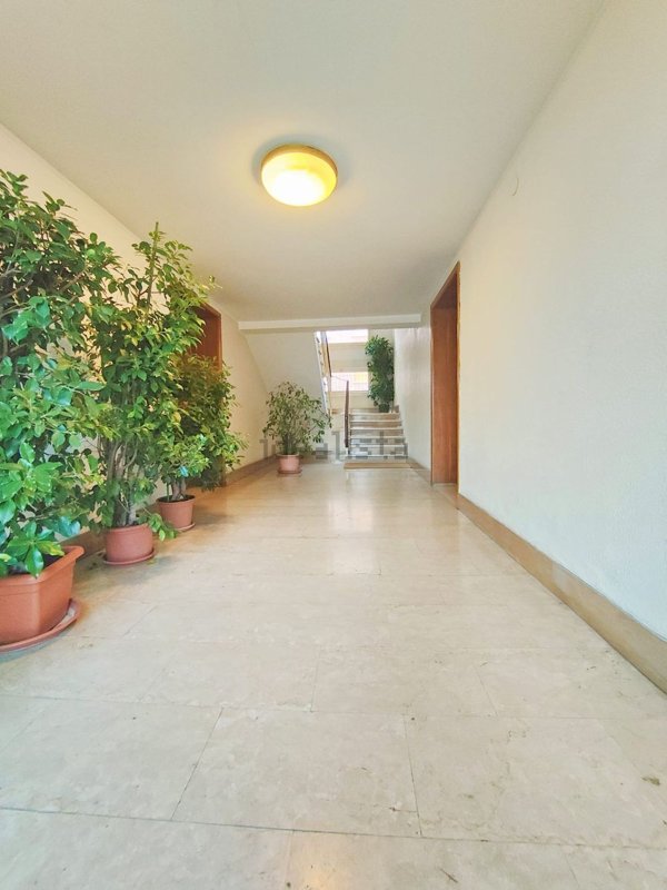 appartamento in vendita a Reggio nell'Emilia in zona Pappagnocca