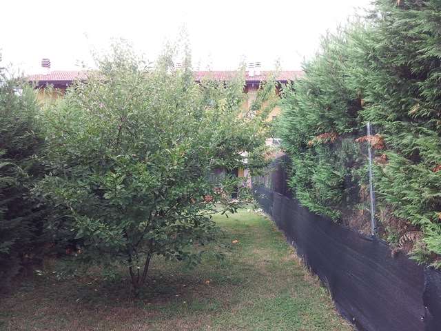 casa indipendente in vendita a Reggio nell'Emilia in zona Villa Bagno