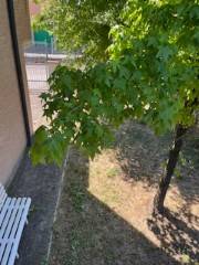 appartamento in vendita a Reggio nell'Emilia in zona Masone