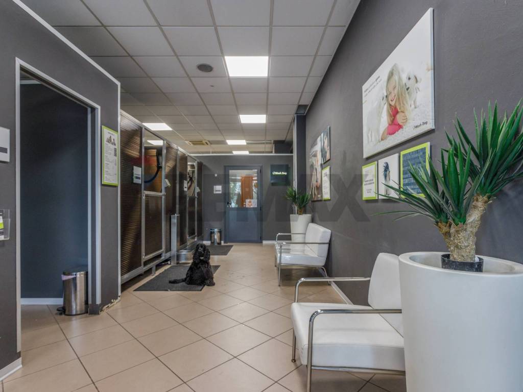 negozio in vendita a Reggio nell'Emilia