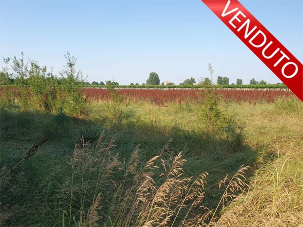 terreno agricolo in vendita a Reggio nell'Emilia