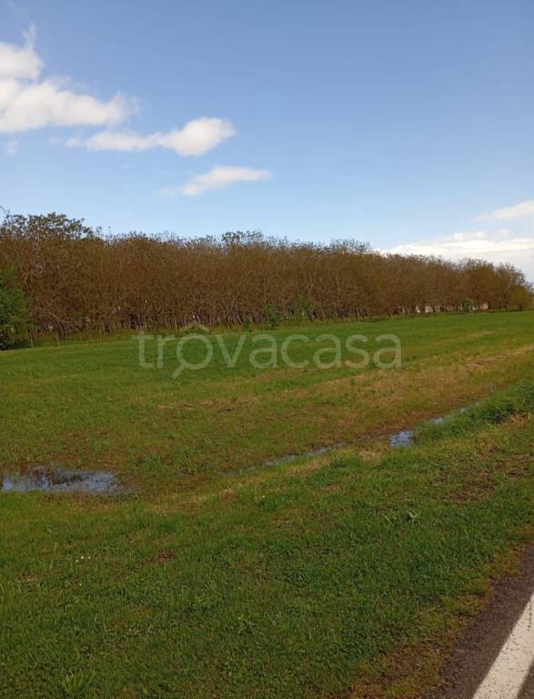 terreno agricolo in vendita a Rolo