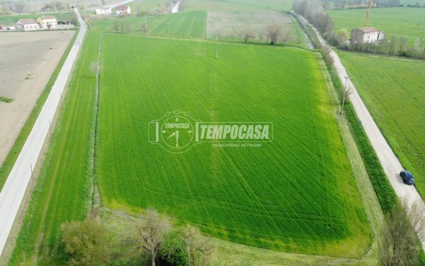 terreno agricolo in vendita a Rolo