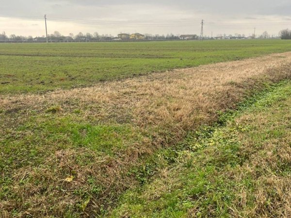 terreno agricolo in vendita a Rolo