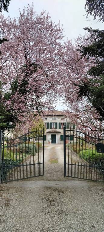 casa indipendente in vendita a Rolo
