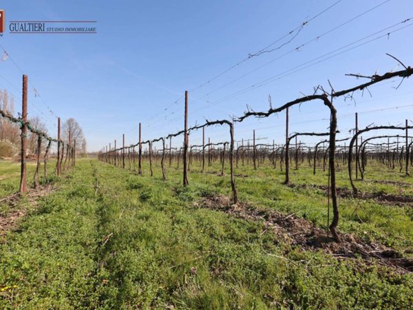 terreno agricolo in vendita a Rubiera