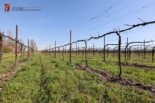 terreno agricolo in vendita a Rubiera