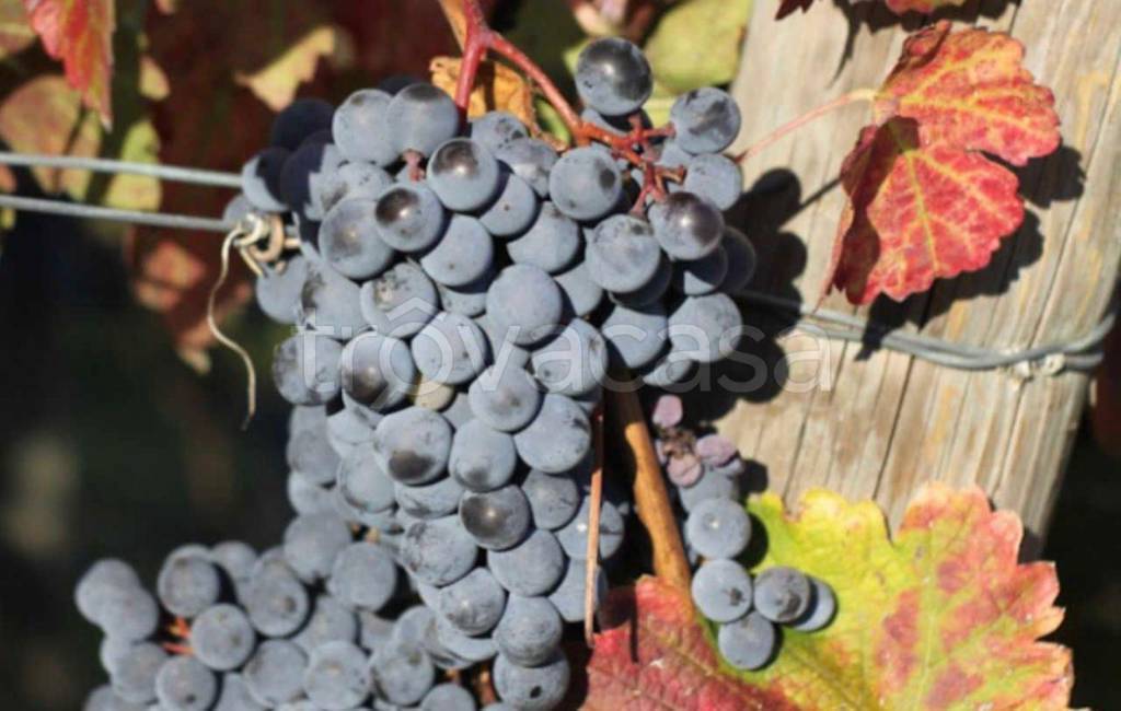 appartamento in vendita a Rubiera in zona San Faustino