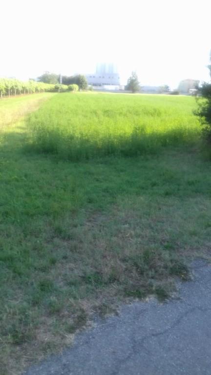 terreno agricolo in vendita a San Martino in Rio in zona Gazzata
