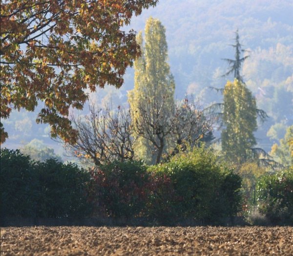appartamento in vendita a San Polo d'Enza