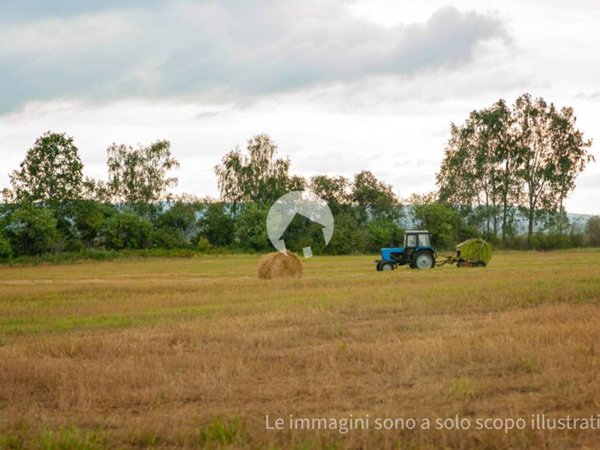 terreno agricolo in vendita a San Polo d'Enza