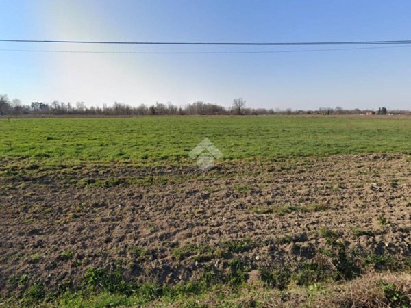 terreno agricolo in vendita a Sant'Ilario d'Enza in zona Castellana