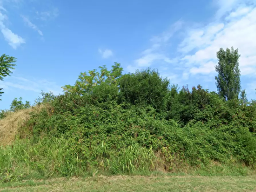 terreno agricolo in vendita a Sant'Ilario d'Enza