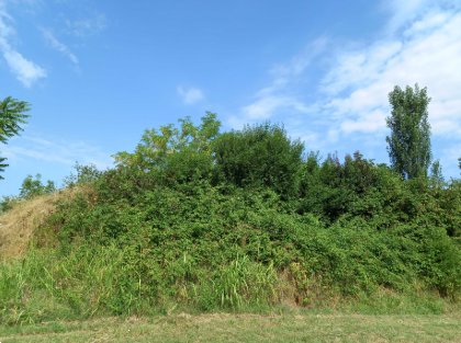 terreno agricolo in vendita a Sant'Ilario d'Enza
