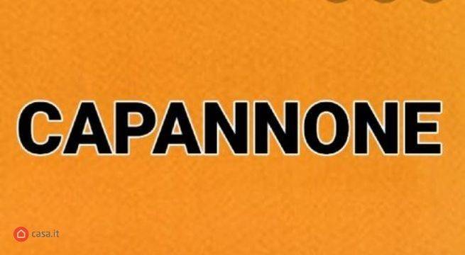 capannone in vendita a Scandiano
