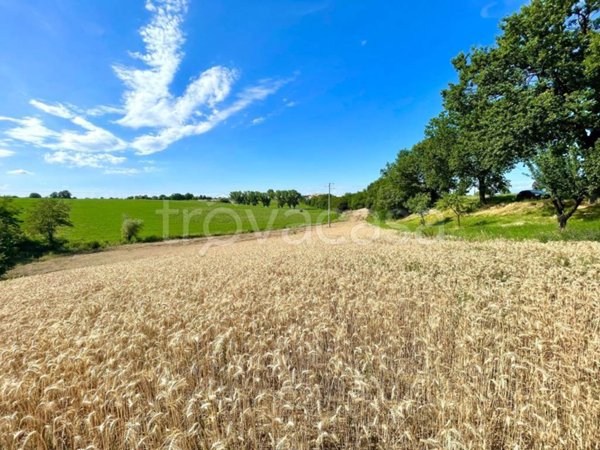terreno edificabile in vendita a Scandiano in zona Pratissolo