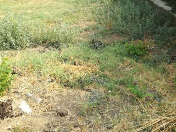 casa indipendente in vendita a Scandiano in zona Pratissolo