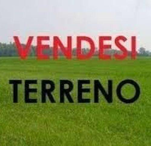 terreno edificabile in vendita a Scandiano in zona Bosco