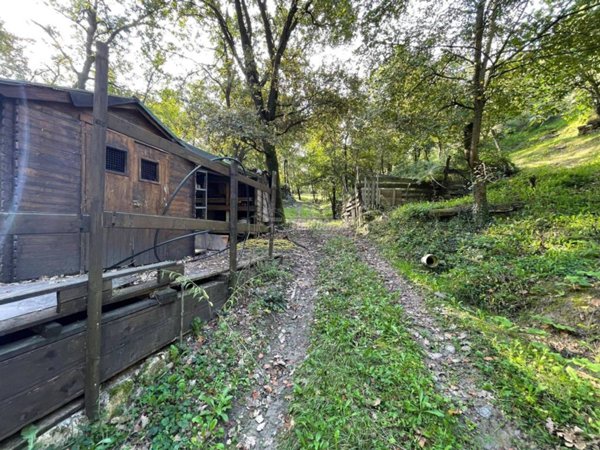 terreno agricolo in vendita a Scandiano in zona Ventoso