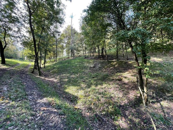 terreno agricolo in vendita a Scandiano in zona Ventoso