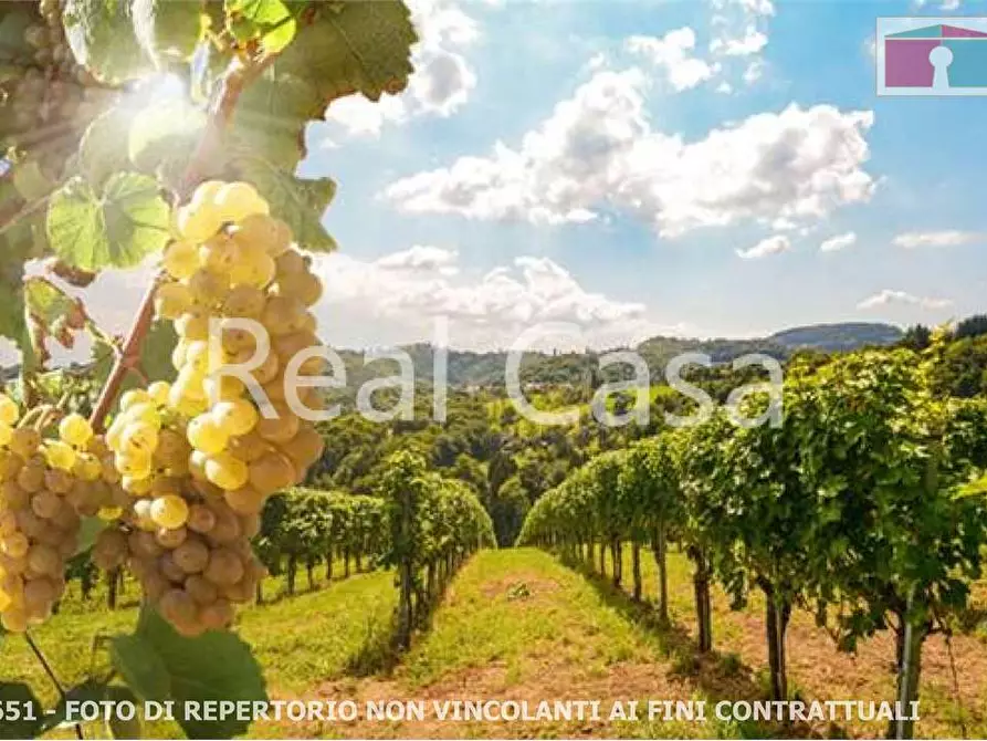 casa indipendente in vendita a Scandiano