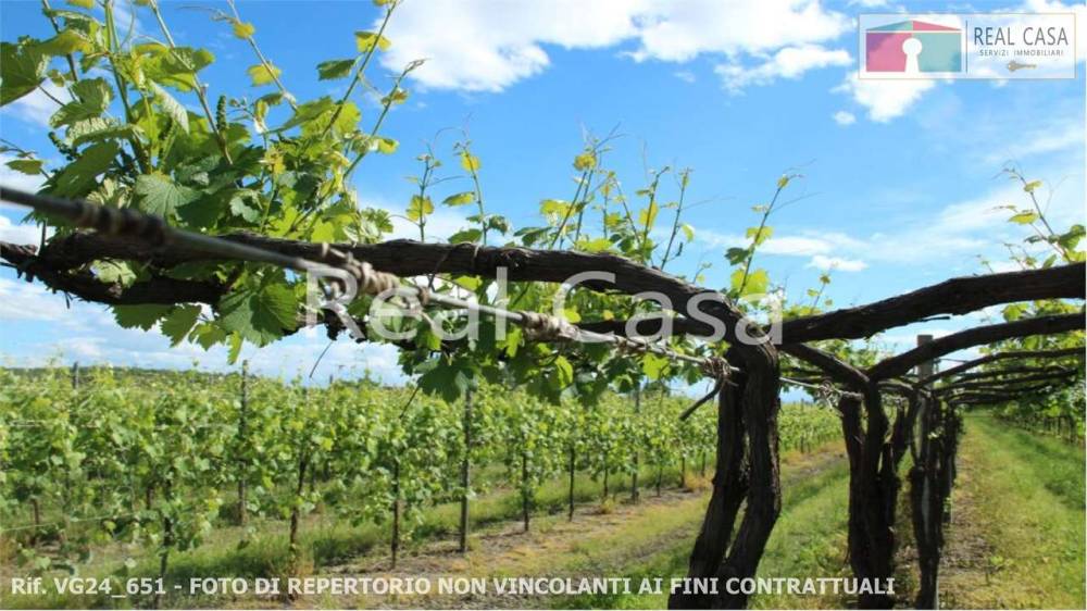 casa indipendente in vendita a Scandiano