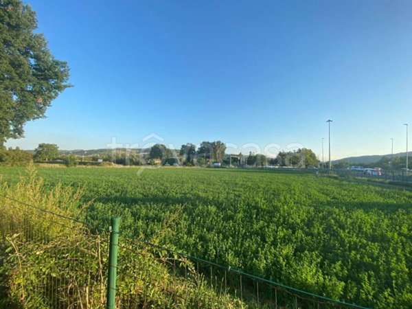 terreno agricolo in vendita a Scandiano in zona Pratissolo