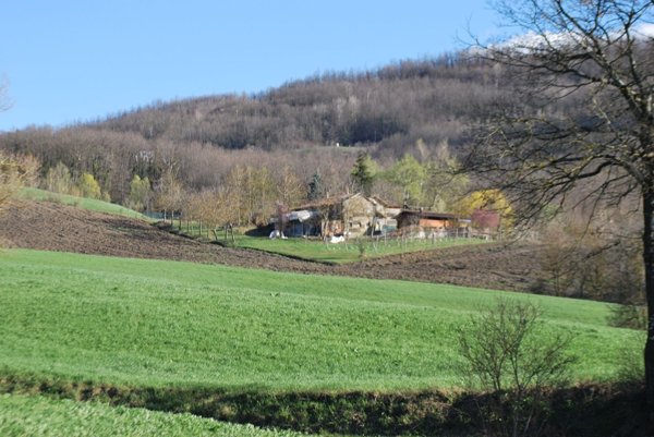 appartamento in vendita a Toano