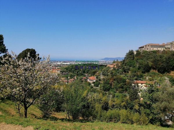 casa indipendente in vendita a Toano in zona Massa