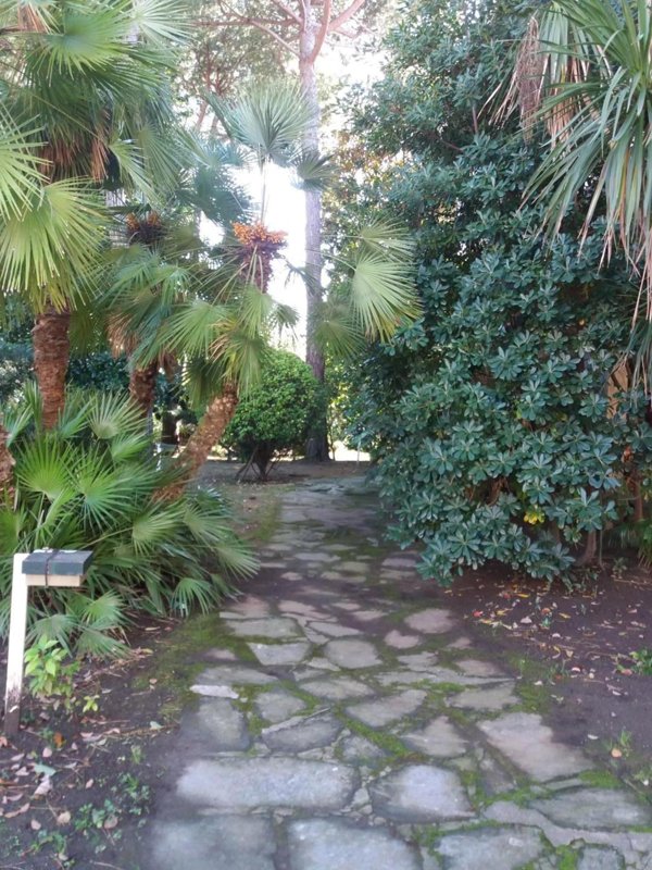 appartamento in vendita a Toano in zona Massa