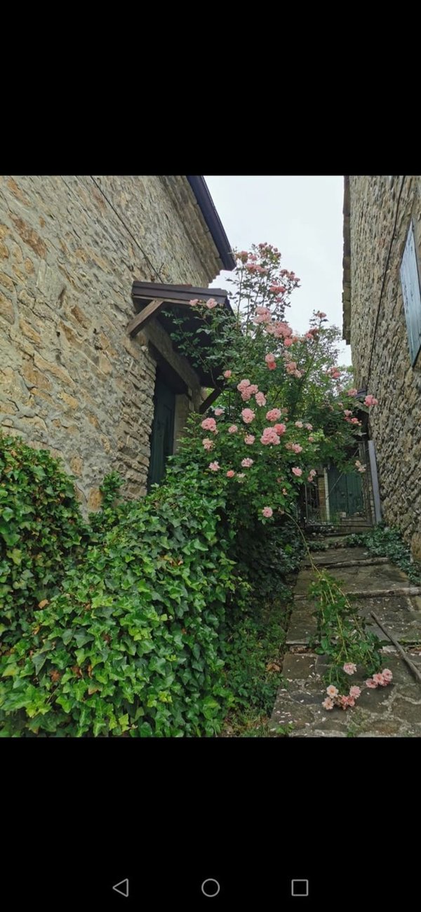 casa indipendente in vendita a Toano