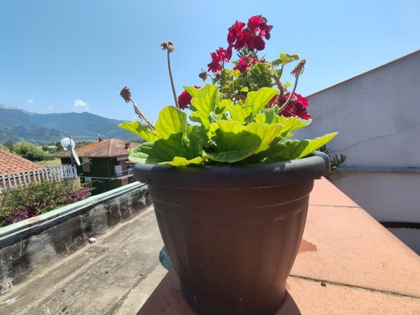 appartamento in vendita a Toano in zona Massa