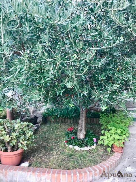 casa indipendente in vendita a Toano in zona Massa