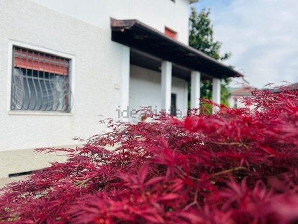 casa indipendente in vendita a Toano in zona Cerredolo