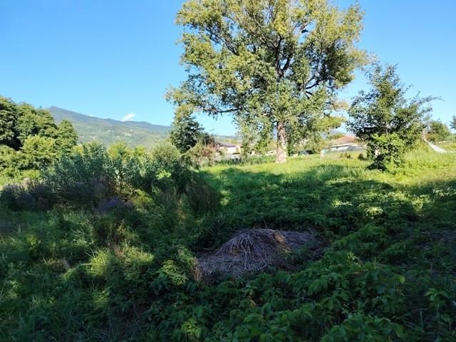 terreno agricolo in vendita a Toano in zona Massa