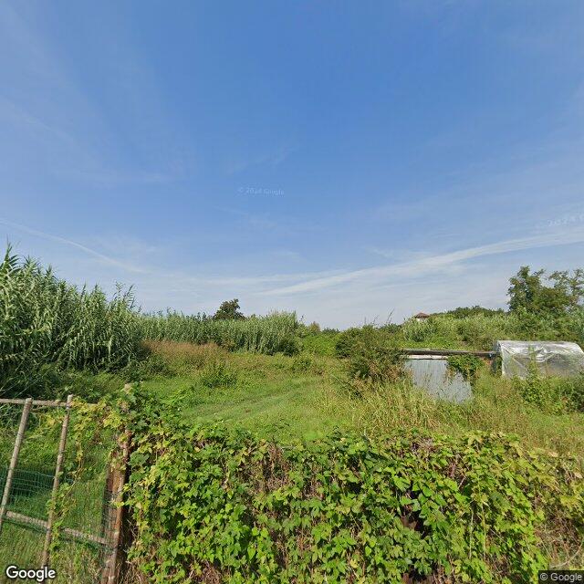 terreno agricolo in vendita a Toano in zona Massa