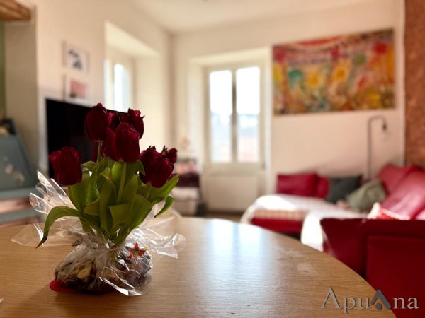appartamento in vendita a Toano in zona Massa