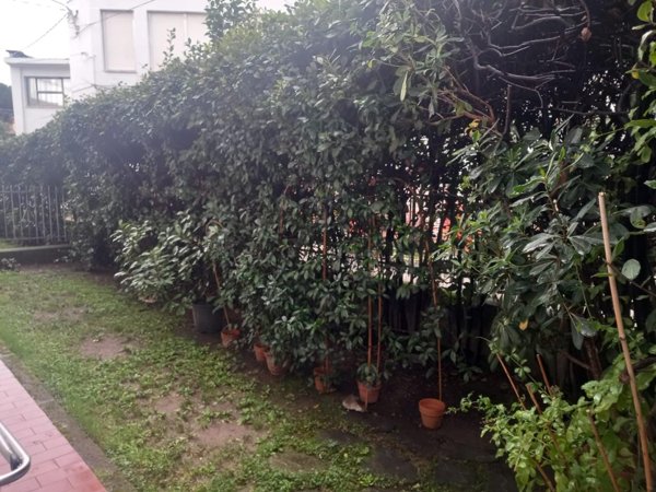 appartamento in vendita a Toano in zona Massa