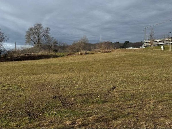 terreno agricolo in vendita a Vetto in zona Rosano