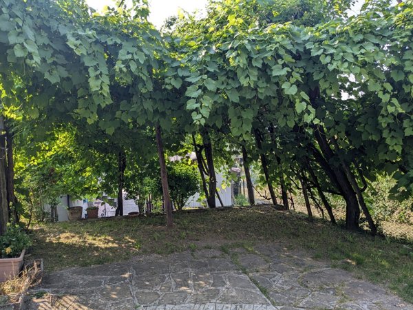 casa indipendente in vendita a Vetto in zona Rosano