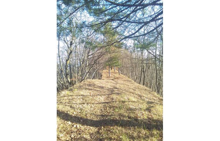 casa indipendente in vendita a Vetto in zona Casone