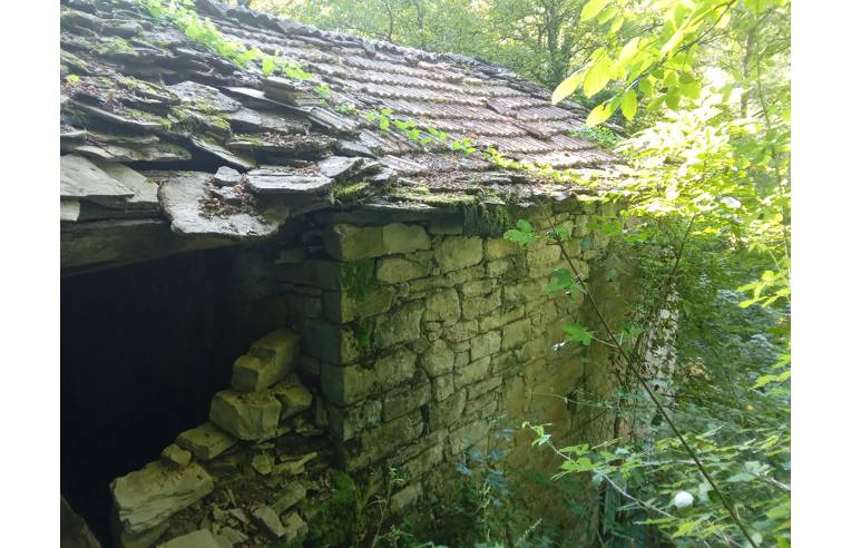 terreno agricolo in vendita a Vetto in zona Scalucchia